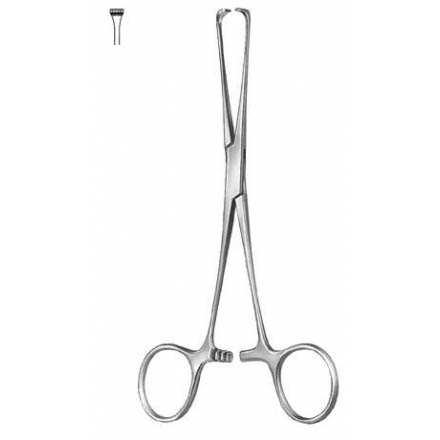 Intestinal and Tissue Grasping Forceps