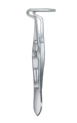 Muscle Forceps