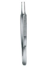 1:2 Tissue Forceps