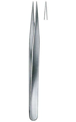 Watchmaker Forceps