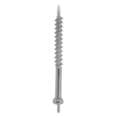 Orthopedic Implants