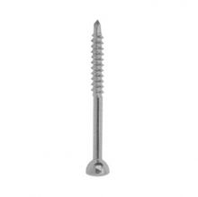 Orthopedic Implants