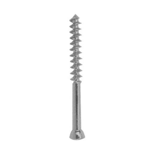 Orthopedic Implants