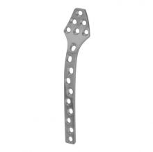 Orthopedic Implants