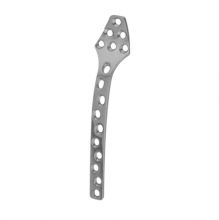 Orthopedic Implants