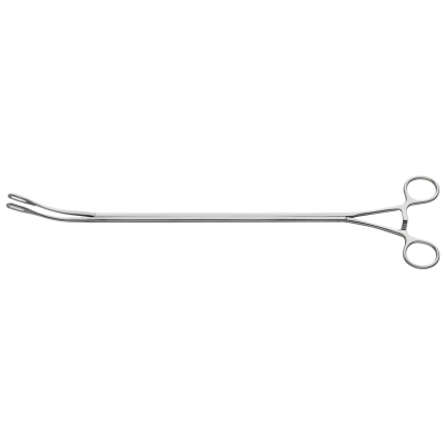 Foerster Lung Grasping Clamp