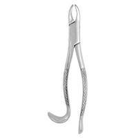 Extracting Forceps #24