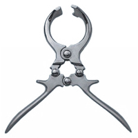 Castration Forceps